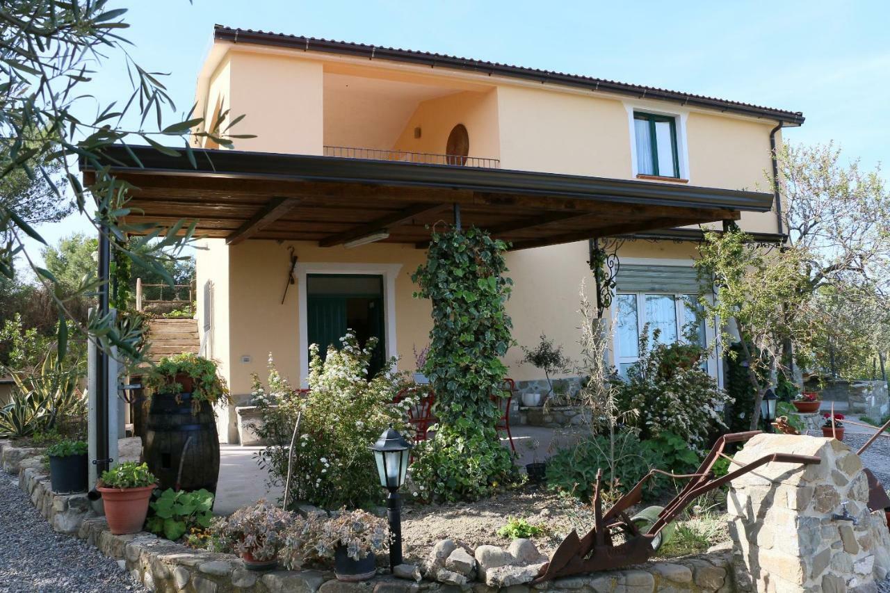 טרביסאצ'ה B&B Il Vigneto מראה חיצוני תמונה